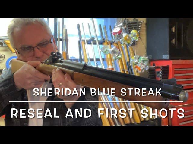 Sheridan Blue Streak. Pump cup replacement and testing. What a beast!