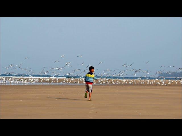Bhogve Beach - Sagar Darshan Resort