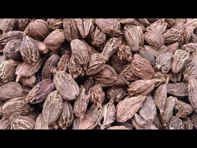 Indian Black Cardamom