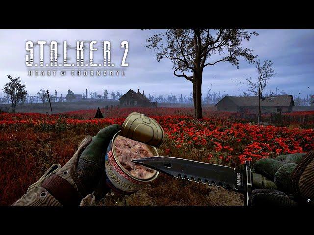 Stalker 2 - All Food, Drinks, & Healing Animations (4K)