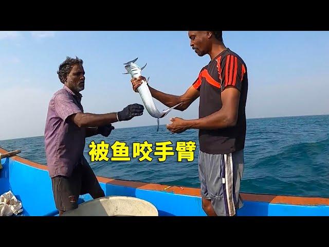 男人出海釣魚，卻被一條尖嘴魚咬住手臂，這也太倒楣