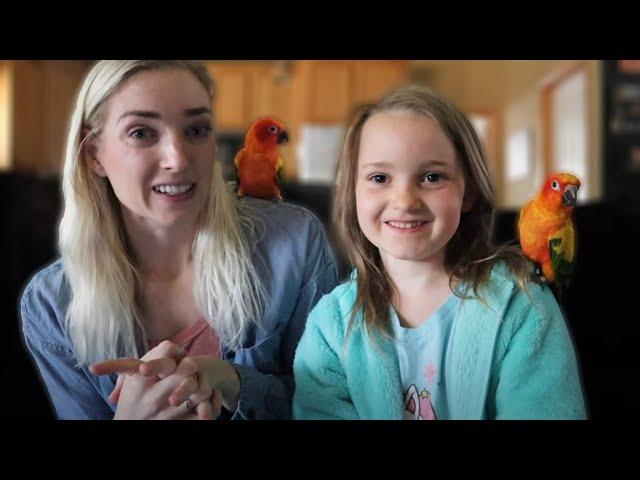 All About Sun Conures! (Can You Handle The Noise?!)