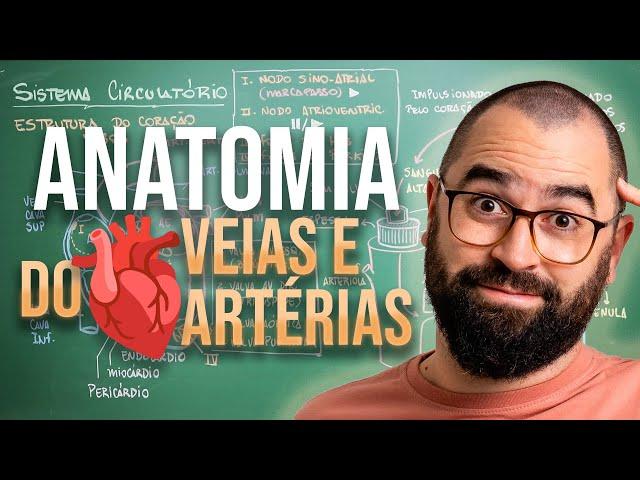 Anatomia do coração, veias e artérias - Aula 25 - Módulo 7: Fisiologia Humana