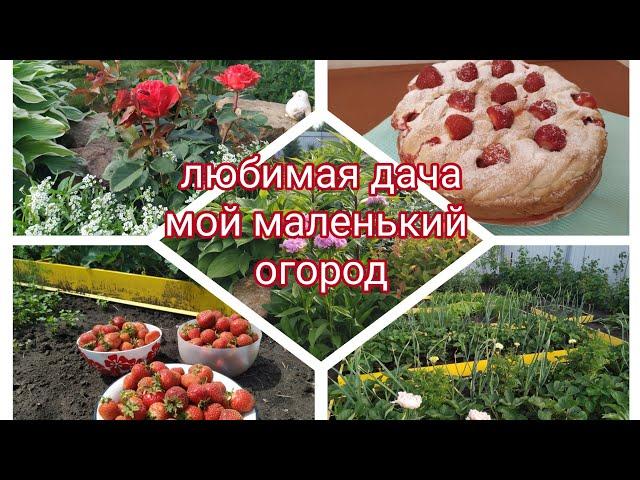 любимая дача/мой маленький огород- небольшой обзор