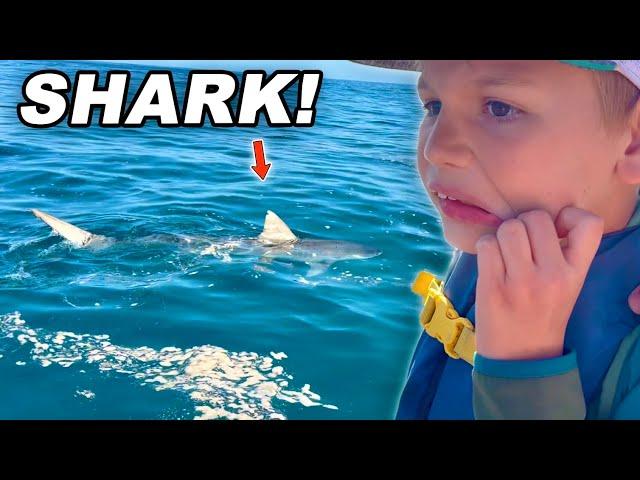 Once In A Lifetime SHARK Encounter!