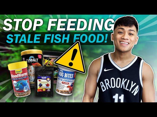 Your Fish Food is Stale… 10 Tips on How to Fix That!