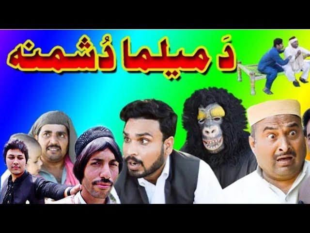 Swat SK VINES, New funny khaka, meelma Taba de 