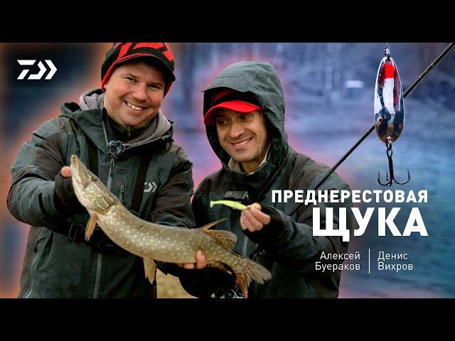 DAIWA CRUSADER GEKIATSU - КОМПАКТНАЯ И ТЯЖЕЛАЯ. Алексей Буераков x Денис Вихров