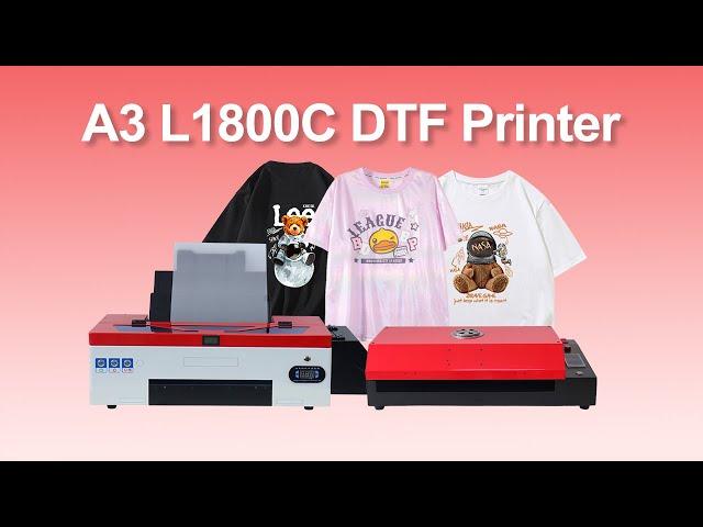 EPSON  A3 L1800 DTF  Printer