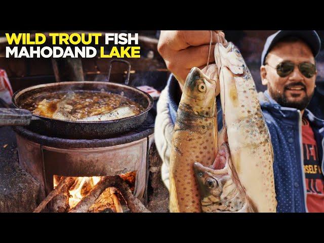 Asli Trout Fish, Mahodand Lake | Mission Trout 2 | Street Food, Travel Pakistan | Kalam, Swat Valley