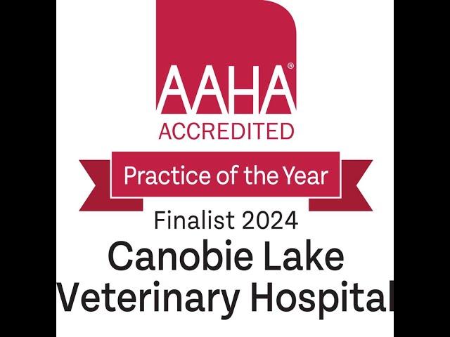 Canobie Lake Animal Hospital 2024 AAHA Accredited Practice of the Year Finalist