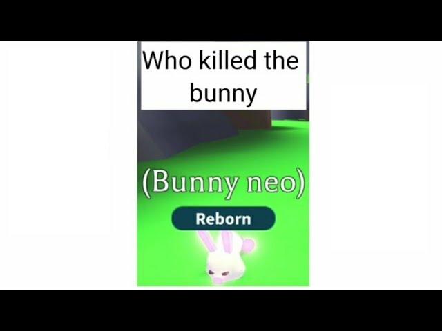 Who killed the Bunny | Adopt me riddle #shorts