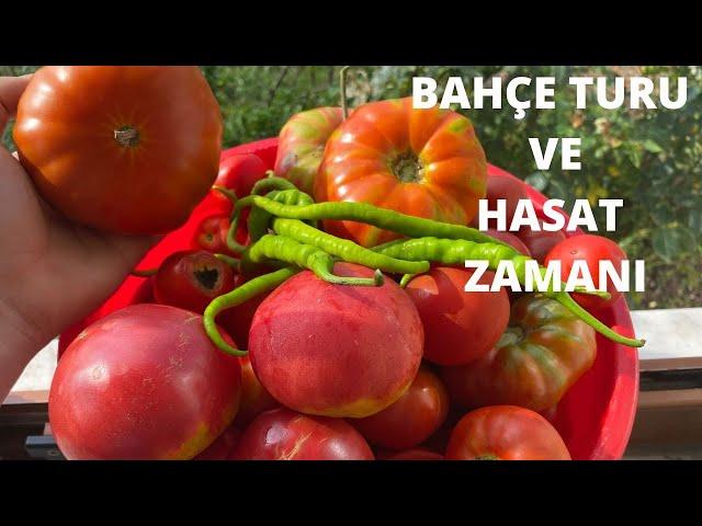 HASAT ZAMANI! BAHÇE TANITIMI  🫑