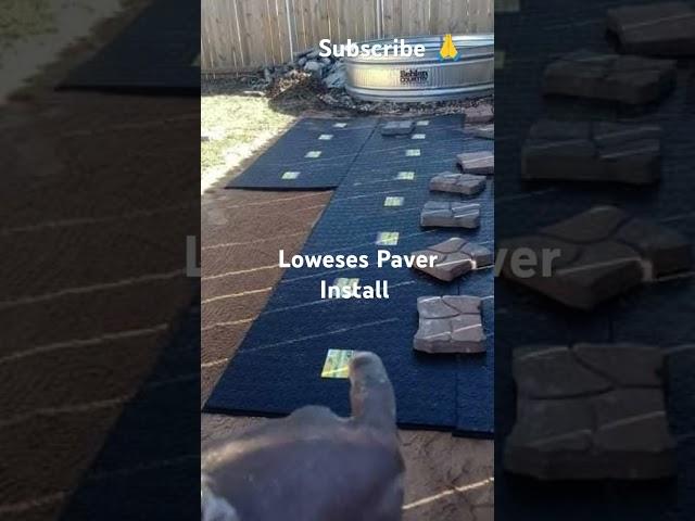 How to install pavers #recommended  #pavers #diy #how
