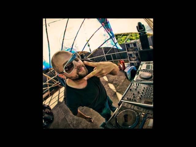 GAUDIUM MIX | On The Way To Ozora 2015