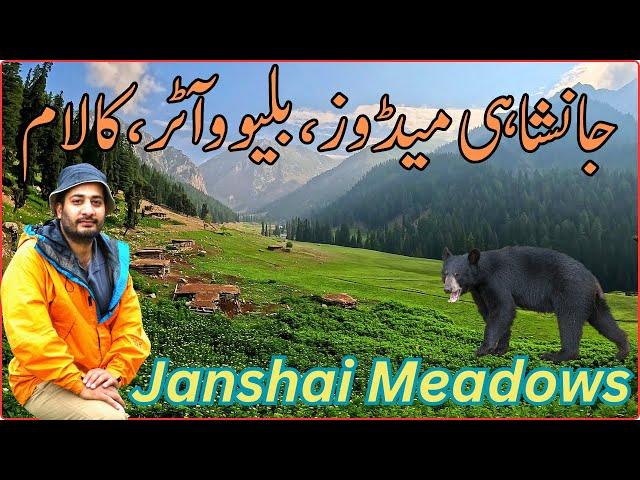 Janshai Meadows Swat Valley | Blue Water Janshai Meadows | Janshai Meadows-Hidden Gem Of Swat Valley