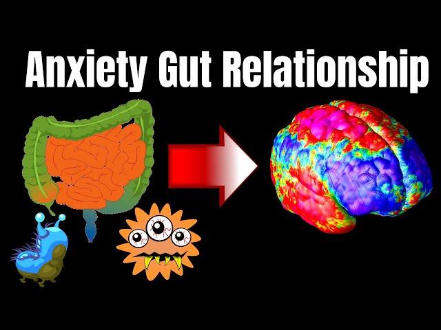 Anxiety & Gut Relationship! Our Gut is the 2nd Brain!