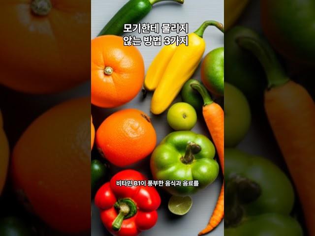 모기한테 물리지 않는 방법 3가지