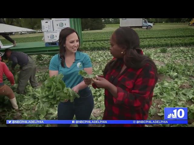 This NJ Family Farm Epitomizes ‘Jersey Fresh'