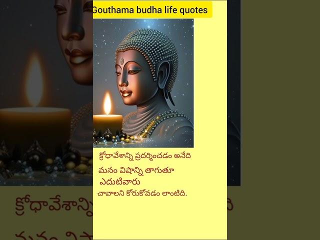 Gouthama budha life quotes in telugu.