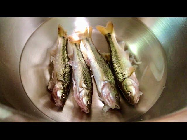 Eating Creek Chubs WHOLE!!! (Catch and Cook!)