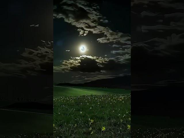 Beautiful Moon | Beautiful Night #moon #night #scenery