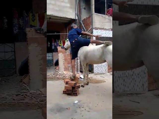 ۱۹ فوریهٔ ۲۰۲۱