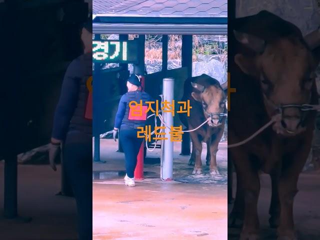 태종대의밤 #미스터트롯3 #현당