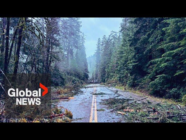 Bomb cyclone: Major cleanup underway after BC storm closes roads, knocks out power, downs trees