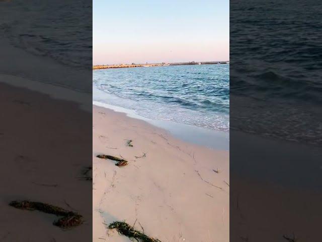 ВЛАД САВЕЛЬЕВ СТРИМ ИЗ ТИК ТОКА