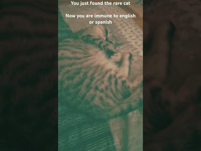 you just found the rare cat