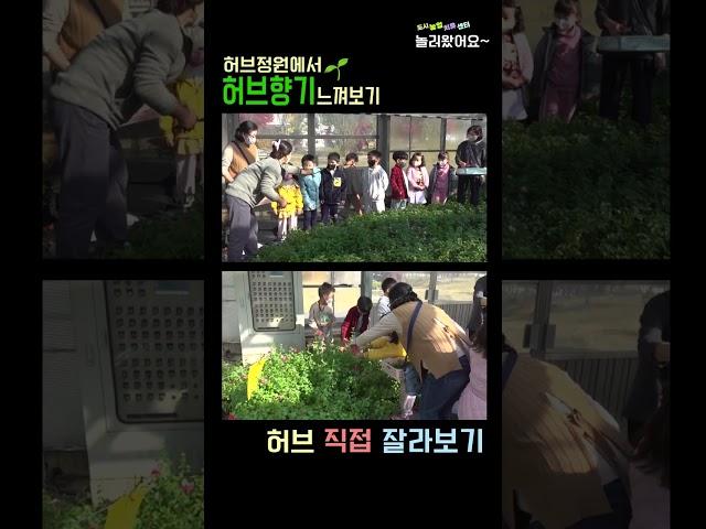 [체험] 도시농업치유센터 놀러왔어요~