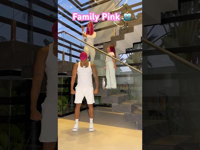 Who likes the Pink family? ‍️‍️‍️ @mayca.brasil #entertainment #dance #dança