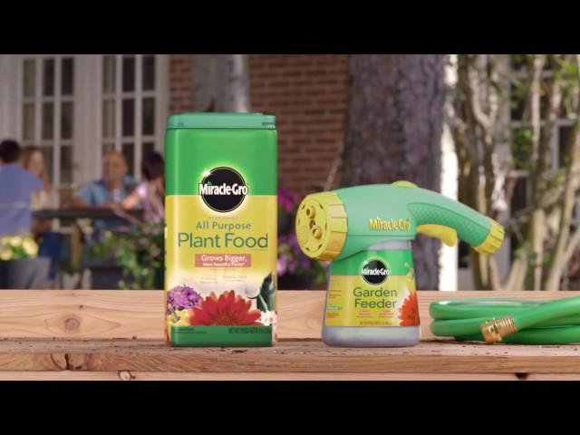 How to Use Miracle-Gro® All Purpose Water Soluble Plant Food