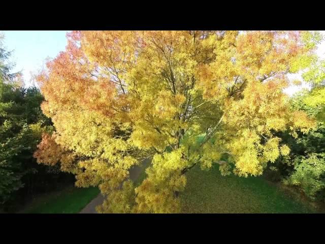 Drone Vlucht -  Almere Ebenezer Howardpark - Oktober 2015