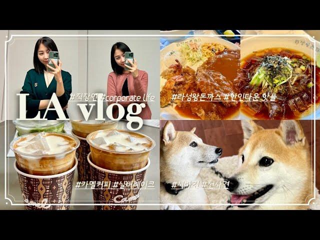 Ep. 77 - LA vlog 코리아타운 핫플 라성왕돈까스/ 카멜커피 엘에이 진출/ 천사 시바견