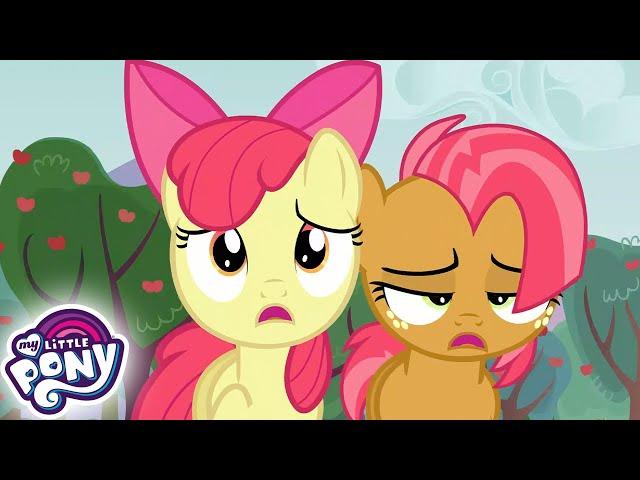 My Little Pony: Дружба — это чудо  Спайк к вашим услугам | MLP FIM по-русски