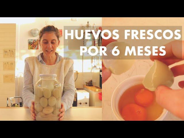 QUÉ!??  Conservar huevos crudos por 6 Meses! Método antiquísimo de Conserva #SoberaniaAlimentaria