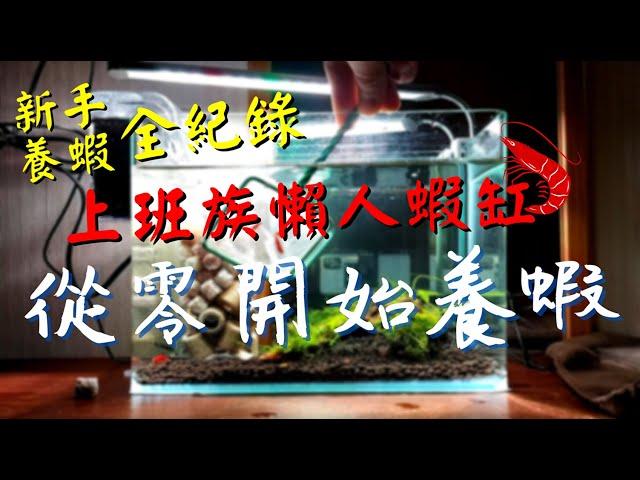 【岳來悅蝦】快來跟我一起從零開始養蝦 屬於上班族的懶人蝦缸 改造外掛過濾器DIY 新手養蝦全紀錄 白霧水該怎麼辦｜莫絲竟然這樣養!?｜水族DIY｜新手養蝦越養生越多｜水草｜蝦缸｜外掛過濾器