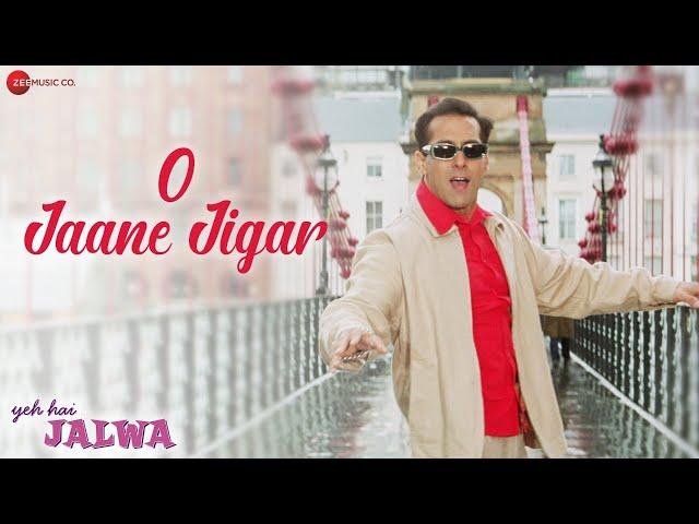 O Jaane Jigar | Yeh Hai Jalwa | Salman Khan, Amisha Patel | Alka Yagnik, Kumar Sanu | Himesh