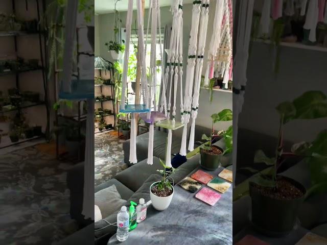 Green Oasis: My Plant-Filled Workspace #plants #stringofhearts #fok