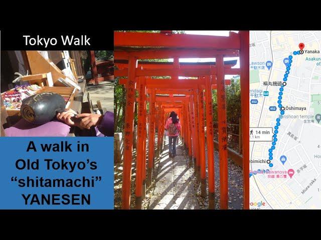 A walking route in Old Tokyo "shitamachi" Yanesen, Yanaka, Yanaka Ginza, Nezu Shrine