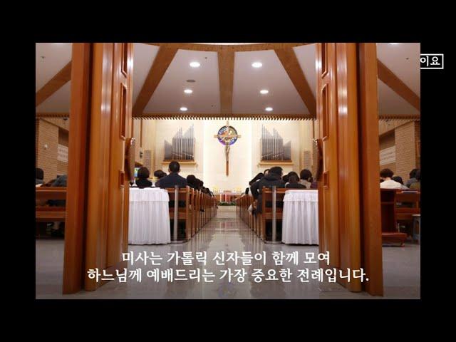 가톨릭 미사 순서 초보자를 위한 쉬운 가이드