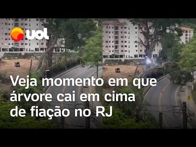 Árvore cai em cima de fiação elétrica em Petrópolis (RJ); vídeo mostra momento