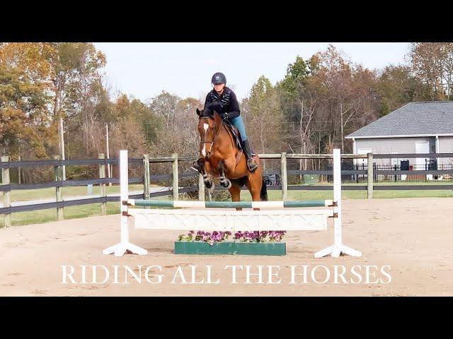 FALL BARN VLOG (WE RODE ALL THE HORSES TODAY)