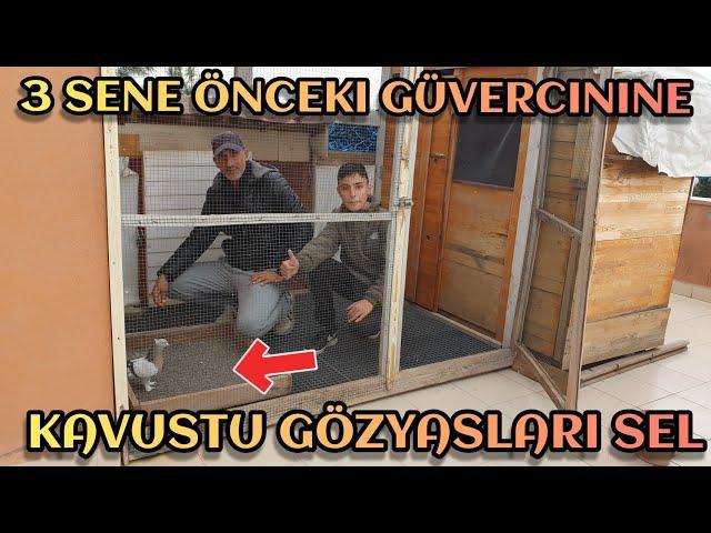 Gökhan Abinin 3 Sene  Önceki Güvercini Kumesin İçinde Show Yapınca, Fenalaştı