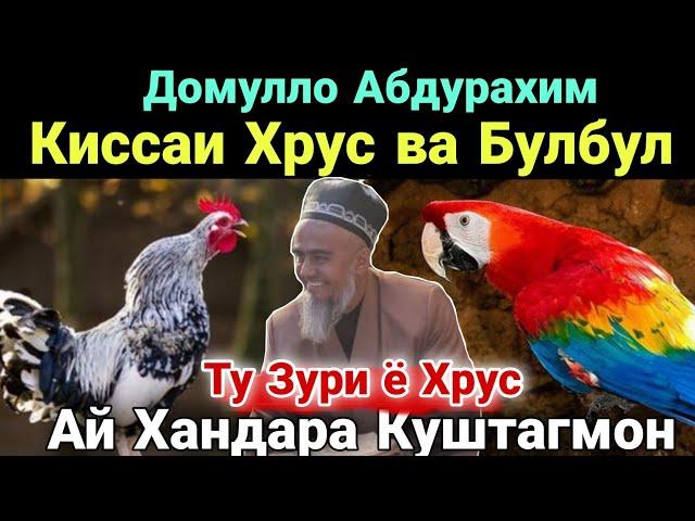 Домулло Абдурахим Киссаи Хрус ва Булбул Ай Хандара Куштагмон