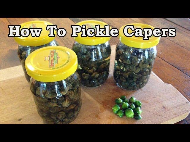 Living in Turkey, How To Pickle Capers