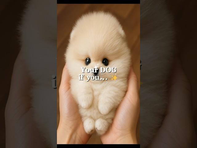 Your DOG!  #DogLovers #Pawfect #DogLife