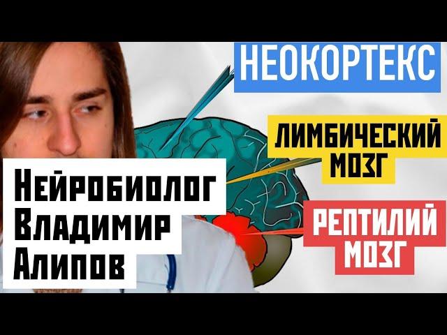 НЕОКОРТЕКС и РЕПТИЛИЙ МОЗГ (НЕЙРОБИОЛГИЯ: Владимир Алипов